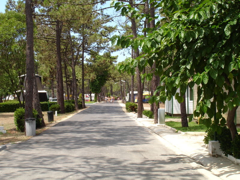 Parque De Campismo Orbitur Gala Hotel Figueira da Foz Eksteriør billede