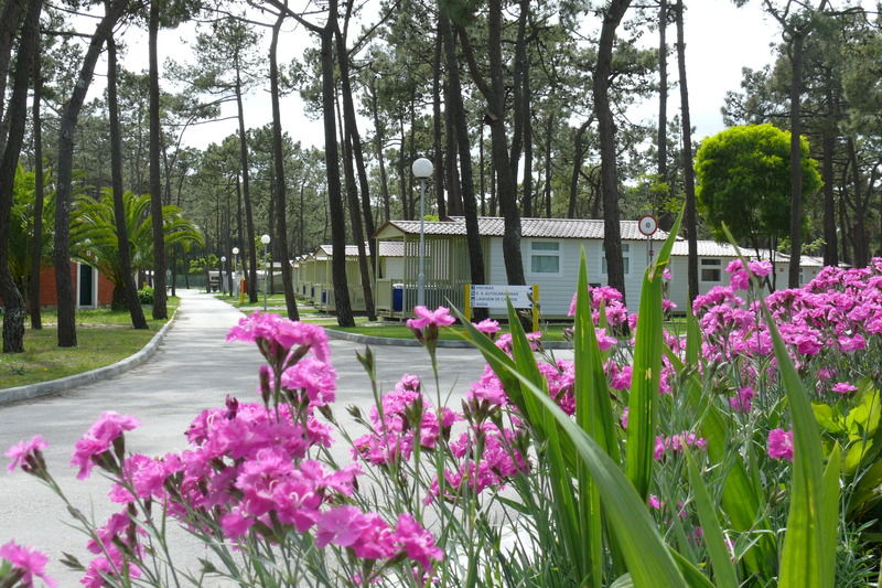 Parque De Campismo Orbitur Gala Hotel Figueira da Foz Eksteriør billede